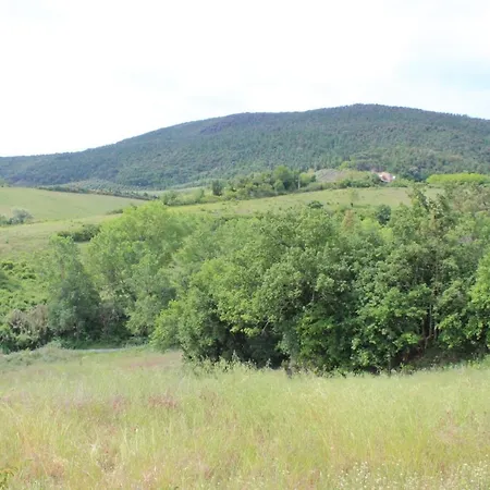 Apartament Glicine Localita Cellole 29 San Gimignano Siena San Gimignano