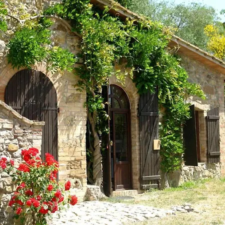 Glicine Localita Cellole 29 San Gimignano Siena